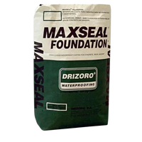 Drizoro Maxseal Foundation