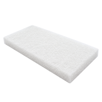 Genesis Scouring Pads
